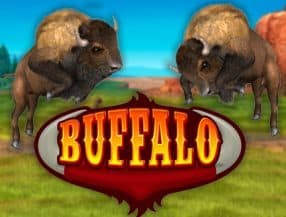 online casino nz